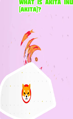 Akita inu crypto