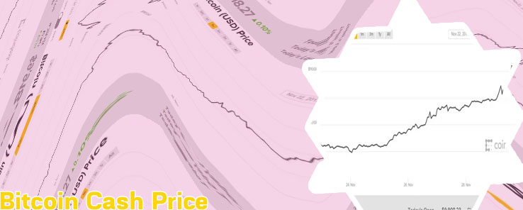 Bitcoin cash price usd