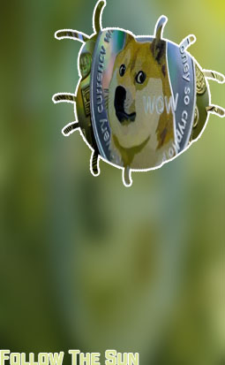 Dinero dogecoin 1000 euros un