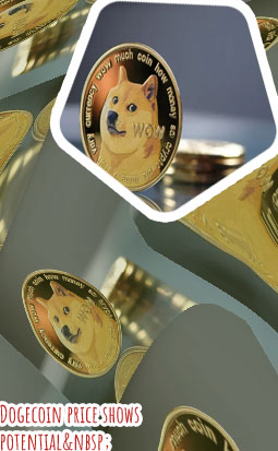Dogecoin stock price