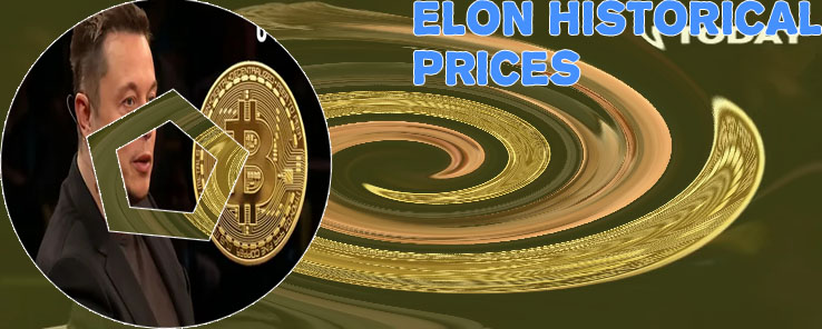 Elon crypto price