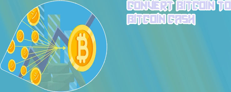 How to convert bitcoin to cash