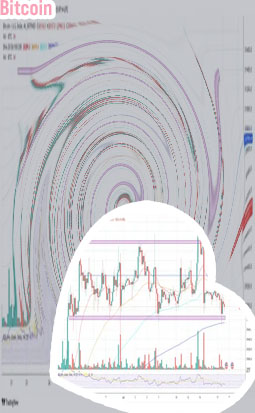 Price of bitcoin today